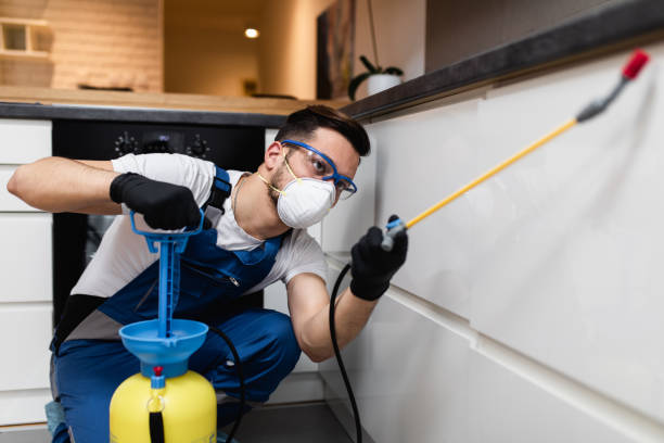 Best Wasp Removal Services  in New Hampton, IA