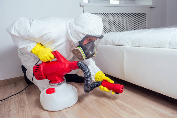 Best Exterminator Services  in New Hampton, IA