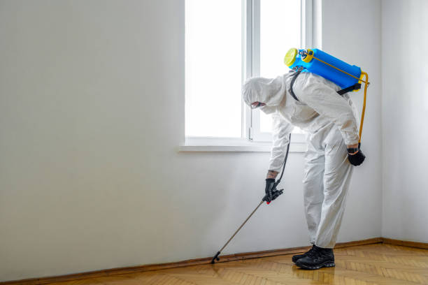 Best Affordable Pest Control Services  in New Hampton, IA
