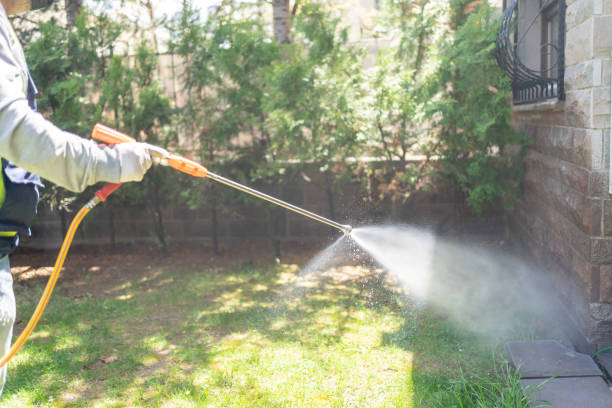 Best Pest Control for Restaurants  in New Hampton, IA