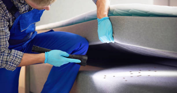 Best Flea Control Services  in New Hampton, IA