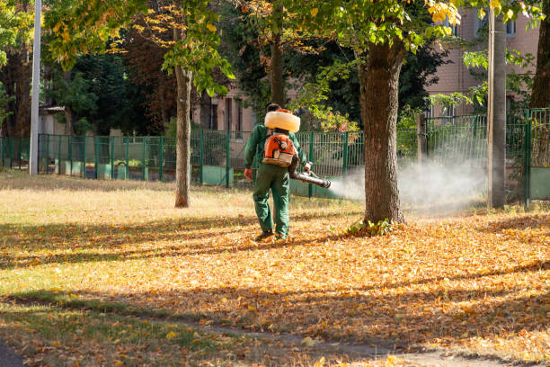 Best Pest Prevention Services  in New Hampton, IA