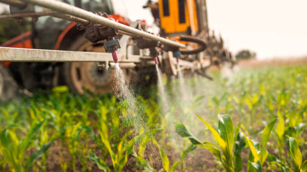 Best Pest Control Near Me  in New Hampton, IA
