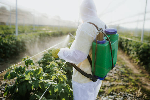 Best Bed Bug Extermination  in New Hampton, IA